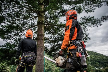 24hr Emergency Tree Care