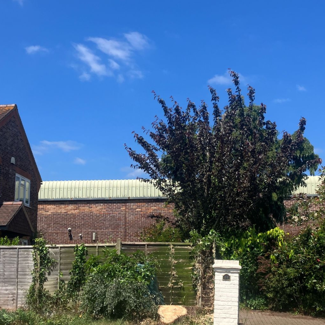 Garden after tree removal, cleared and left tidy