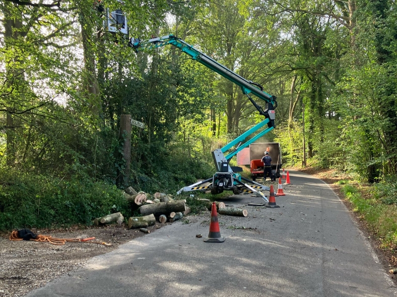 Emergency tree work after storm damage
