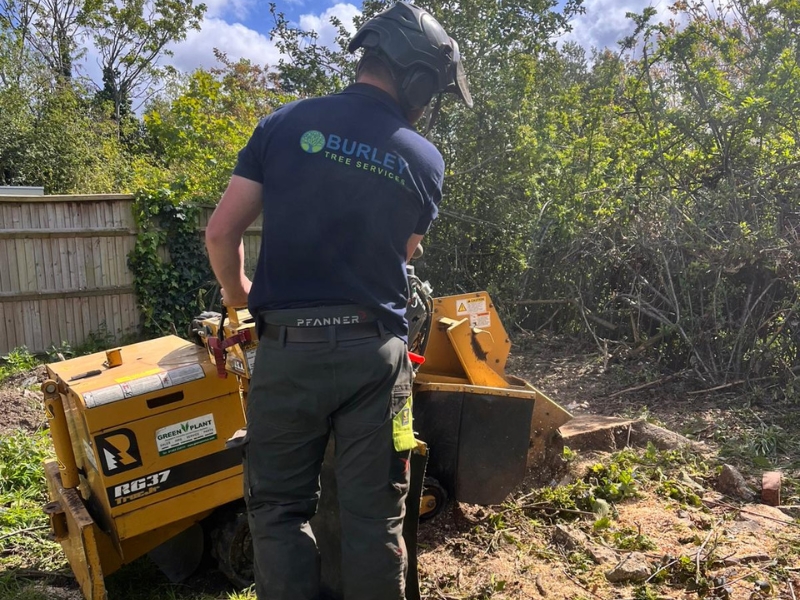 Tree stump grinding and removal